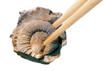 Japanese Food and Wine - Wine Pairing Guide for Japanese Cuisine